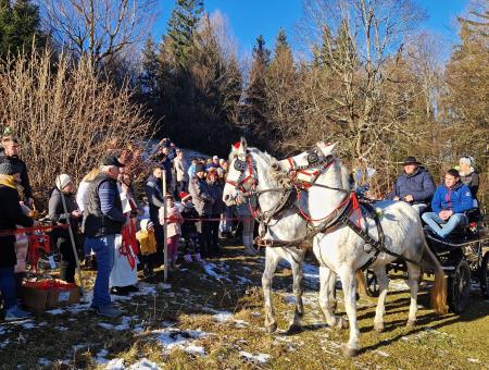 Darko Kepic iz Dvorij se je na blagoslovitev konj pripeljal s konjsko dvovprego